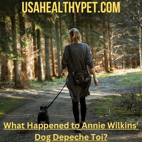 What Happened to Annie Wilkins Dog Depeche Toi