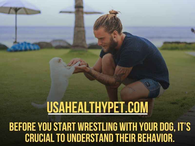 Before you start wrestling with your dog, it’s crucial to understand their behavior.