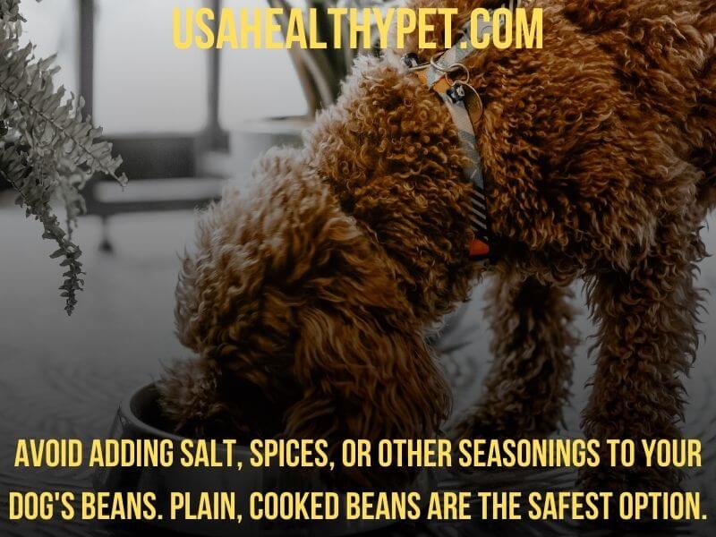 Can dogs eat cooked beans