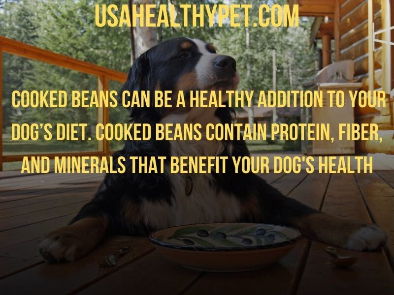 Photo explaining benefits of cooked beans