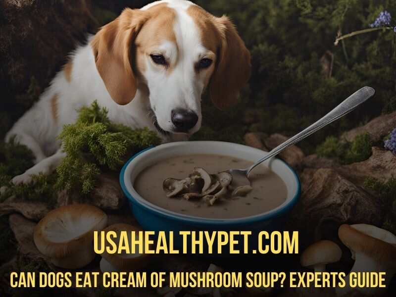 Can Dogs Eat Cream of Mushroom Soup