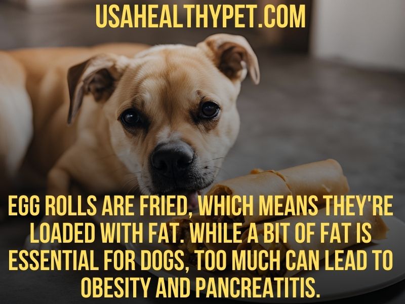 Can Dogs Eat Egg Rolls? Understanding the Risks and Safe Alternatives