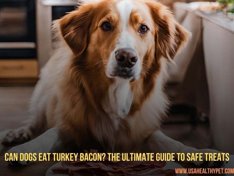 Can Dogs Eat Turkey Bacon The Ultimate Guide to Safe Treats