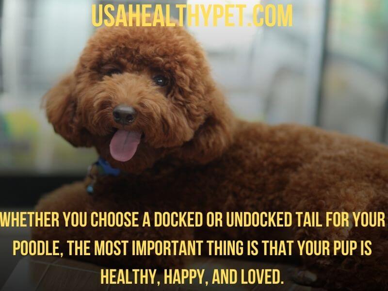 Docked vs. Undocked poodle tail