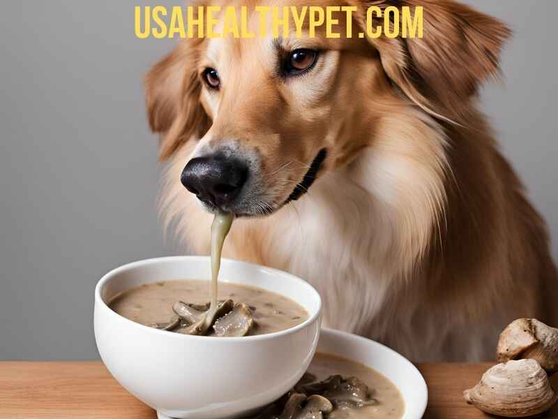 Photo shows that dog trying to eat Mushroom Soap