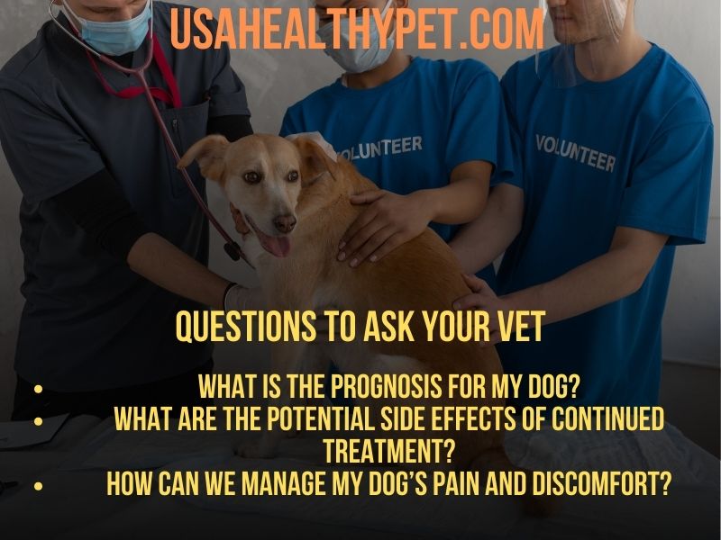 Questions to ask your Vet