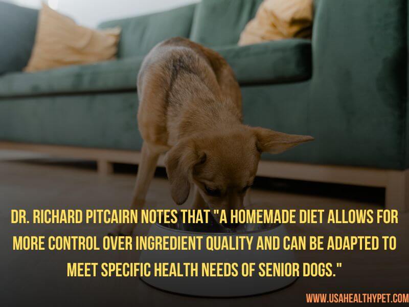 The Best Homemade Diet for Senior Dogs Simple and Nutritious Recipes