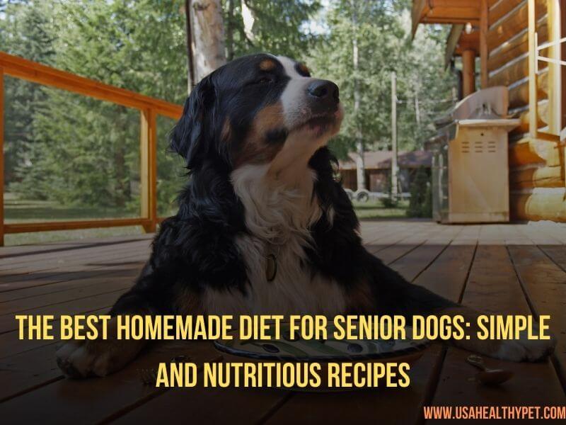 The Best Homemade Diet for Senior Dogs Simple and Nutritious Recipes