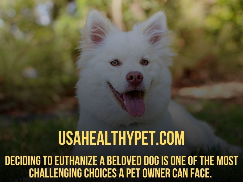 When to Euthanize a Dog with Liver Disease