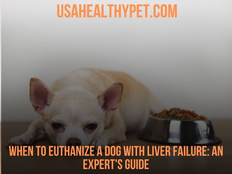 When to Euthanize a Dog with Liver Failure