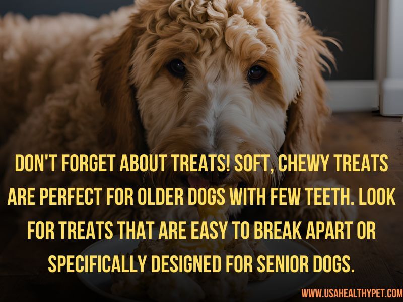 Best Dog Food for Older Small Dogs with Few Teeth