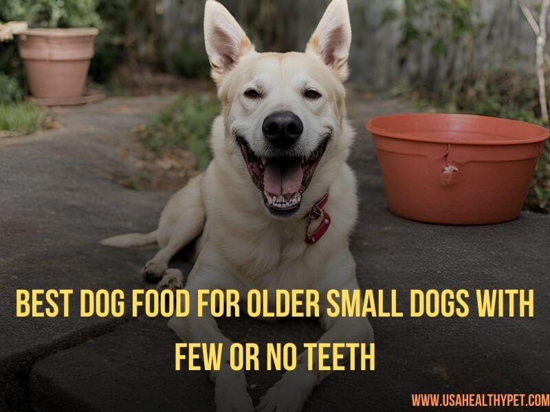 Best dog food for older dogs with few teeth