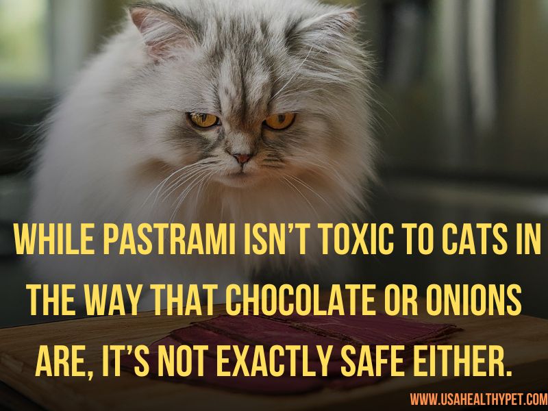 Can Cats Eat Pastrami Understanding the Risks and Safe Treat Options