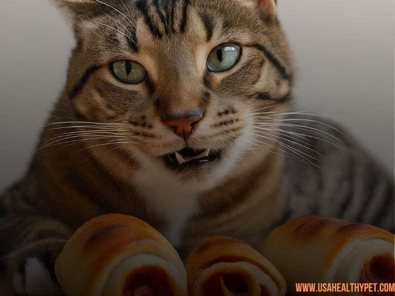 Can Cats Eat Pizza Rolls