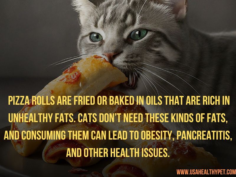 Can Cats Eat Pizza Rolls Dangers and Safe Alternatives