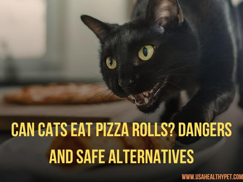 Can Cats Eat Pizza Rolls Dangers and Safe Alternatives