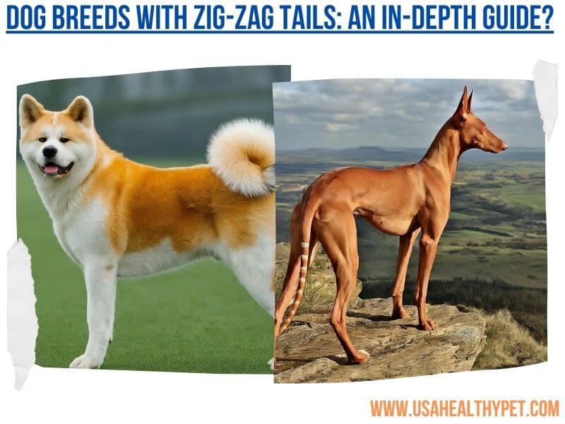 Dog Breeds with Zig-Zag Tails An In-Depth Guide