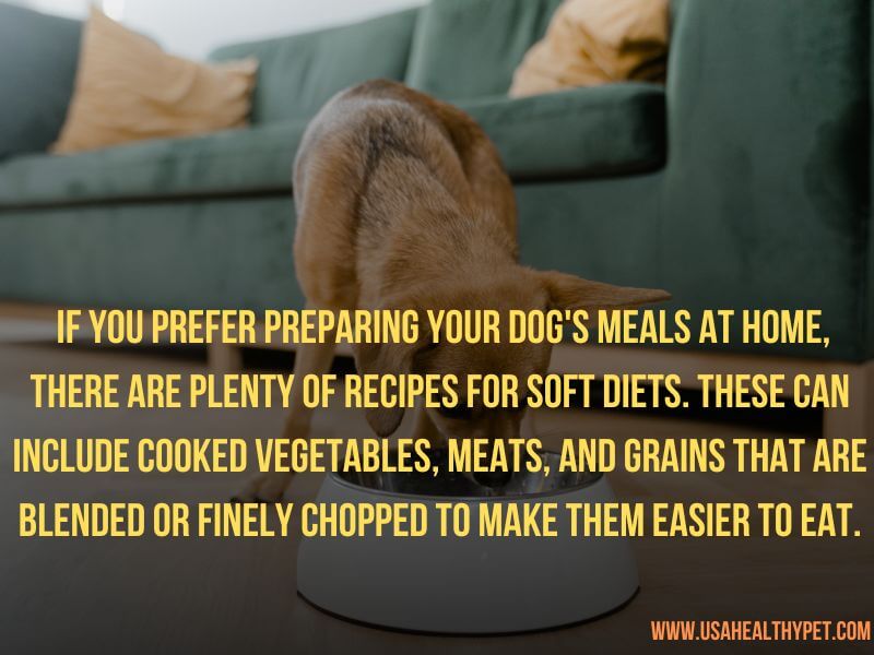 Best Dog Food for Older Small Dogs with Few Teeth