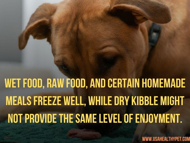 Freezing Dog Food for Enrichment: Tips for Making Food Fun