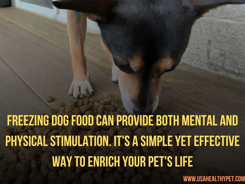 The Benefits of Freezing Dog Food for Enrichment