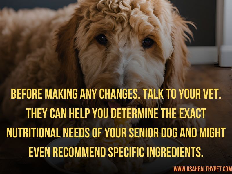 The Best Homemade Diet for Senior Dogs Nutritious Recipes