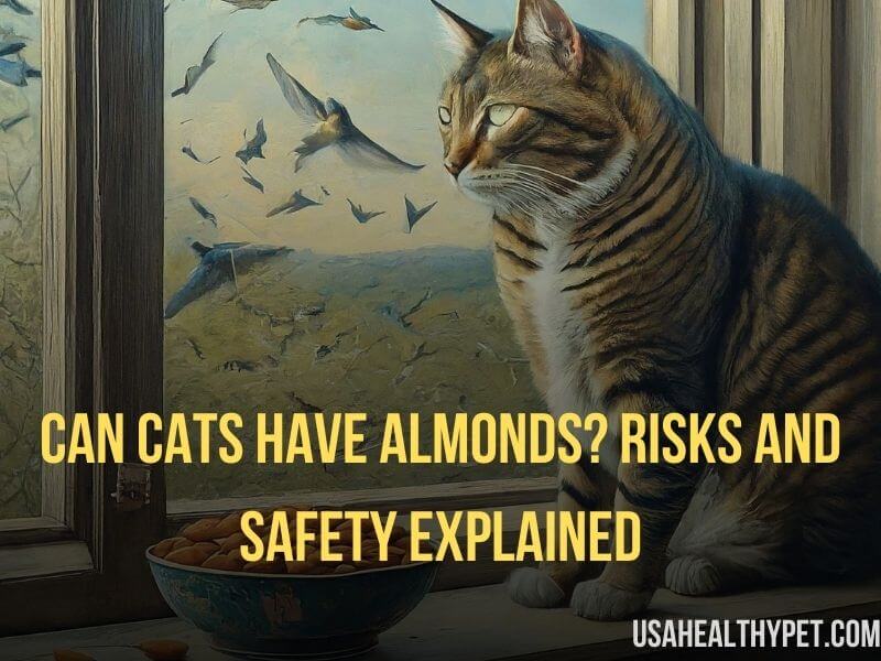 Have Almonds Risks and Safety Explained