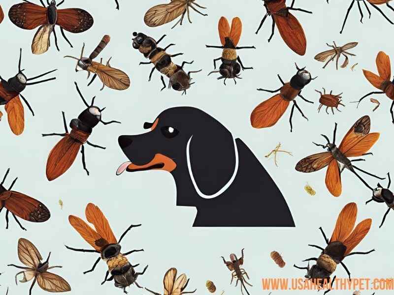 Can Dogs Eat Insects A Complete Guide to Bug-Eating and Your Dog’s Health