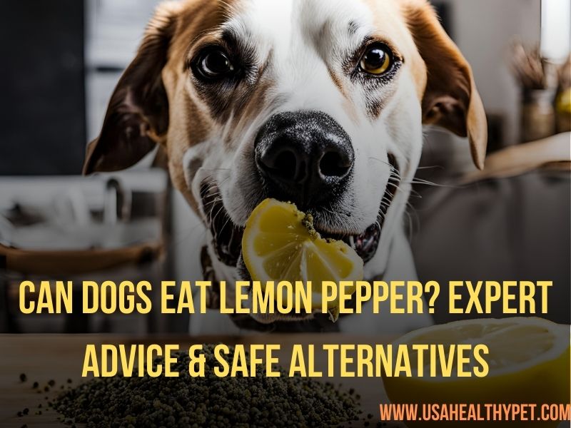 Can Dogs Eat Lemon Pepper Expert Advice & Safe Alternatives