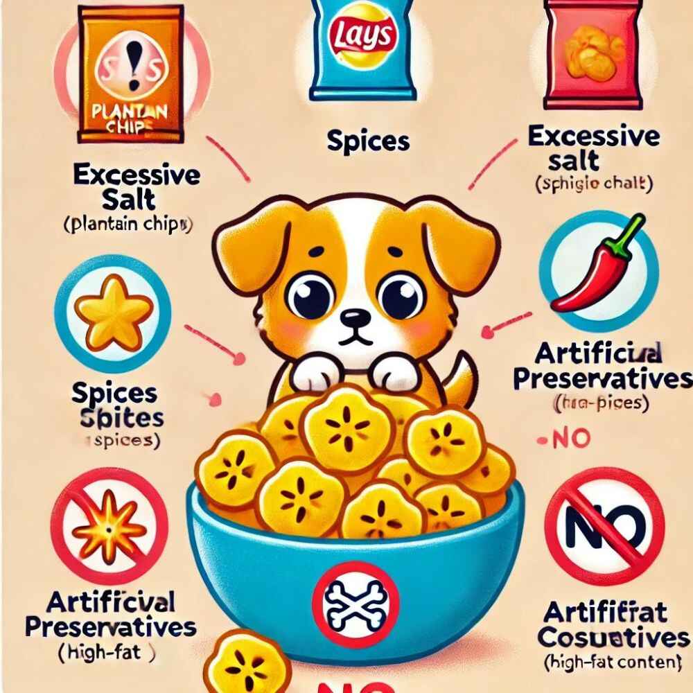 _illustration showing the harmful ingredients in plantain chips for puppies. It highlights the potential dangers like excessive salt, spices, artificial preservatives, and high-fat content.