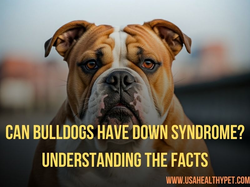 Bulldogs with Down Syndrome Myth or Reality