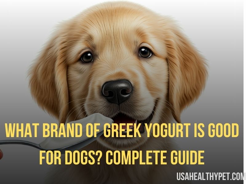 What Brand of Greek Yogurt is Good for Dogs Complete Guide