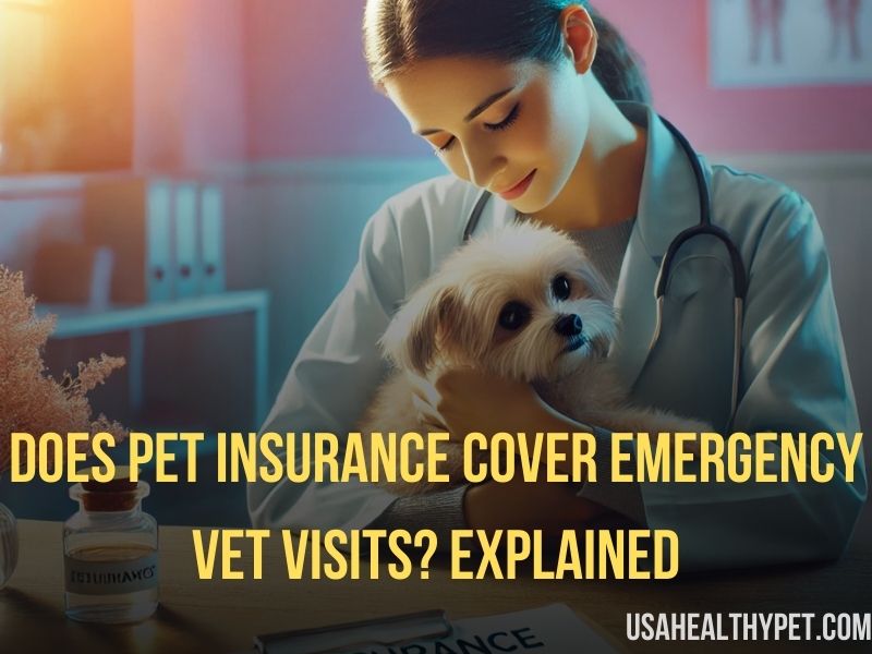 Does Pet Insurance Cover Emergency Vet Visits Explained