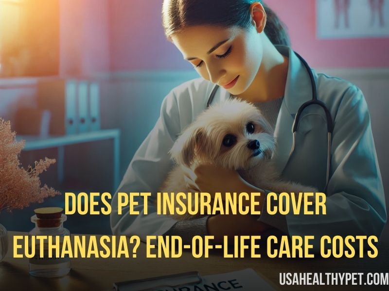 Does Pet Insurance Cover Euthanasia End-of-Life Care Costs