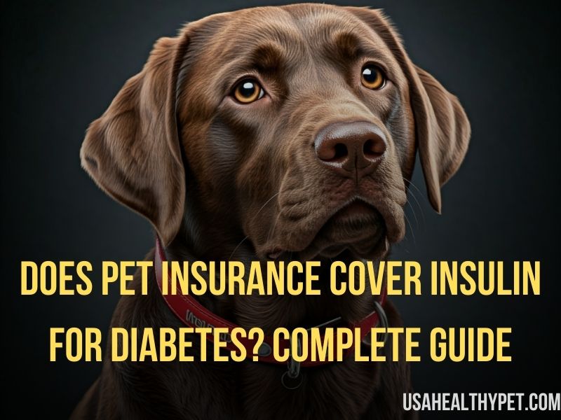 Does Pet Insurance Cover Insulin for Diabetes Complete Guide