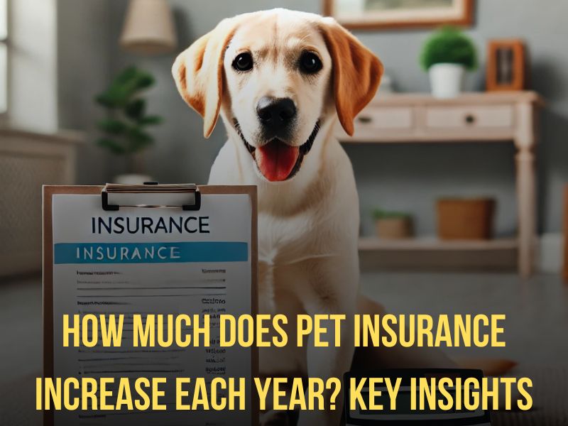 How Much Does Pet Insurance Increase Each Year